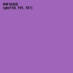 #9F65BB - Wisteria Color Image