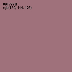 #9F727B - Bazaar Color Image