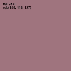 #9F747F - Bazaar Color Image