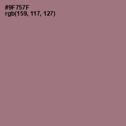 #9F757F - Bazaar Color Image