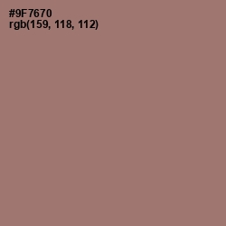 #9F7670 - Bazaar Color Image