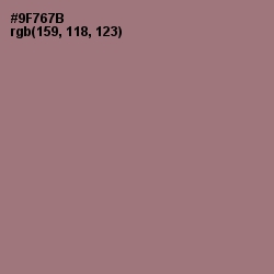 #9F767B - Bazaar Color Image