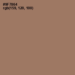 #9F7864 - Toast Color Image