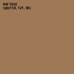 #9F7956 - Leather Color Image