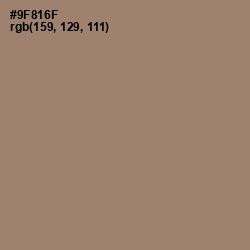#9F816F - Arrowtown Color Image