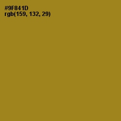 #9F841D - Reef Gold Color Image