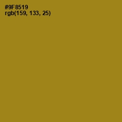 #9F8519 - Reef Gold Color Image