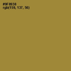 #9F8938 - Sycamore Color Image
