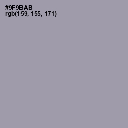 #9F9BAB - Manatee Color Image