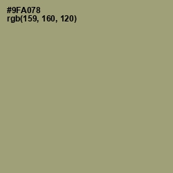 #9FA078 - Olivine Color Image