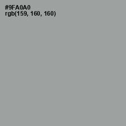 #9FA0A0 - Pewter Color Image