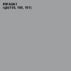 #9FA0A1 - Pewter Color Image