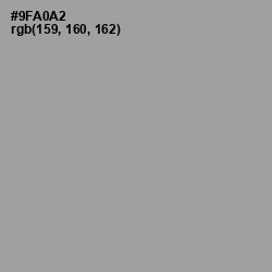 #9FA0A2 - Pewter Color Image