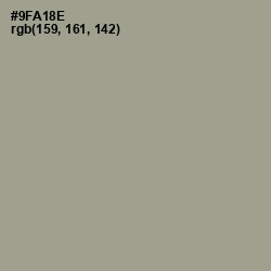 #9FA18E - Sage Color Image