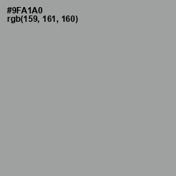 #9FA1A0 - Pewter Color Image