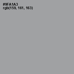 #9FA1A3 - Pewter Color Image