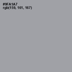 #9FA1A7 - Pewter Color Image