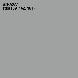 #9FA2A1 - Pewter Color Image