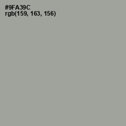 #9FA39C - Sage Color Image