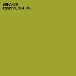 #9FA430 - Sushi Color Image
