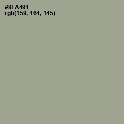 #9FA491 - Sage Color Image