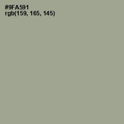 #9FA591 - Sage Color Image