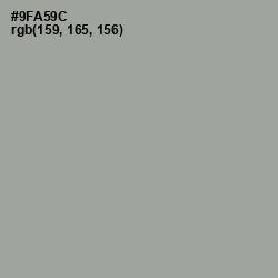 #9FA59C - Sage Color Image