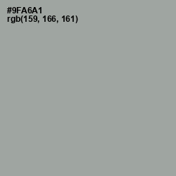 #9FA6A1 - Pewter Color Image