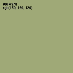 #9FA978 - Olivine Color Image