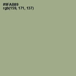 #9FAB89 - Sage Color Image