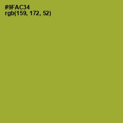 #9FAC34 - Sushi Color Image