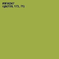 #9FAD47 - Chelsea Cucumber Color Image