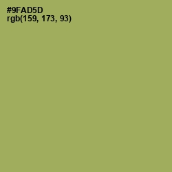 #9FAD5D - Chelsea Cucumber Color Image