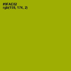 #9FAE02 - Citron Color Image
