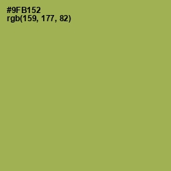 #9FB152 - Chelsea Cucumber Color Image