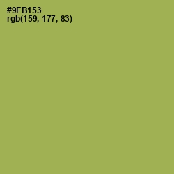#9FB153 - Chelsea Cucumber Color Image