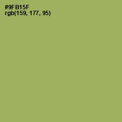 #9FB15F - Chelsea Cucumber Color Image