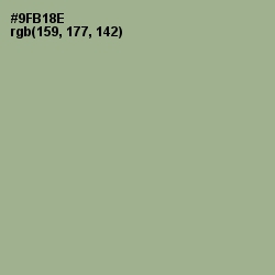 #9FB18E - Sage Color Image