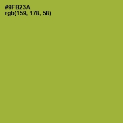#9FB23A - Sushi Color Image