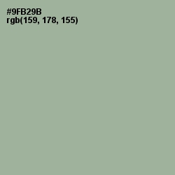 #9FB29B - Sage Color Image