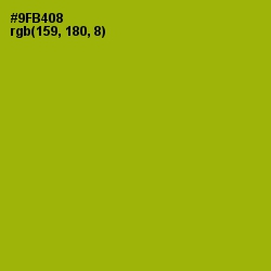 #9FB408 - Citron Color Image