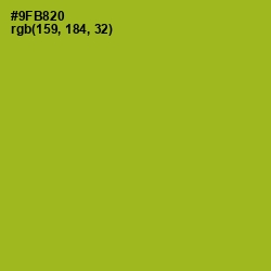 #9FB820 - Sushi Color Image