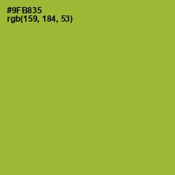 #9FB835 - Sushi Color Image