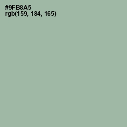 #9FB8A5 - Summer Green Color Image