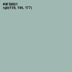 #9FB8B1 - Summer Green Color Image