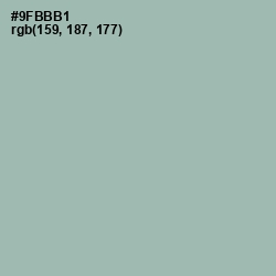 #9FBBB1 - Summer Green Color Image