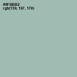 #9FBBB2 - Summer Green Color Image