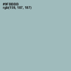 #9FBBBB - Gull Gray Color Image