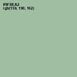#9FBEA2 - Summer Green Color Image