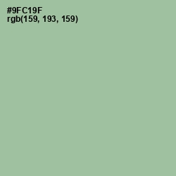 #9FC19F - Feijoa Color Image